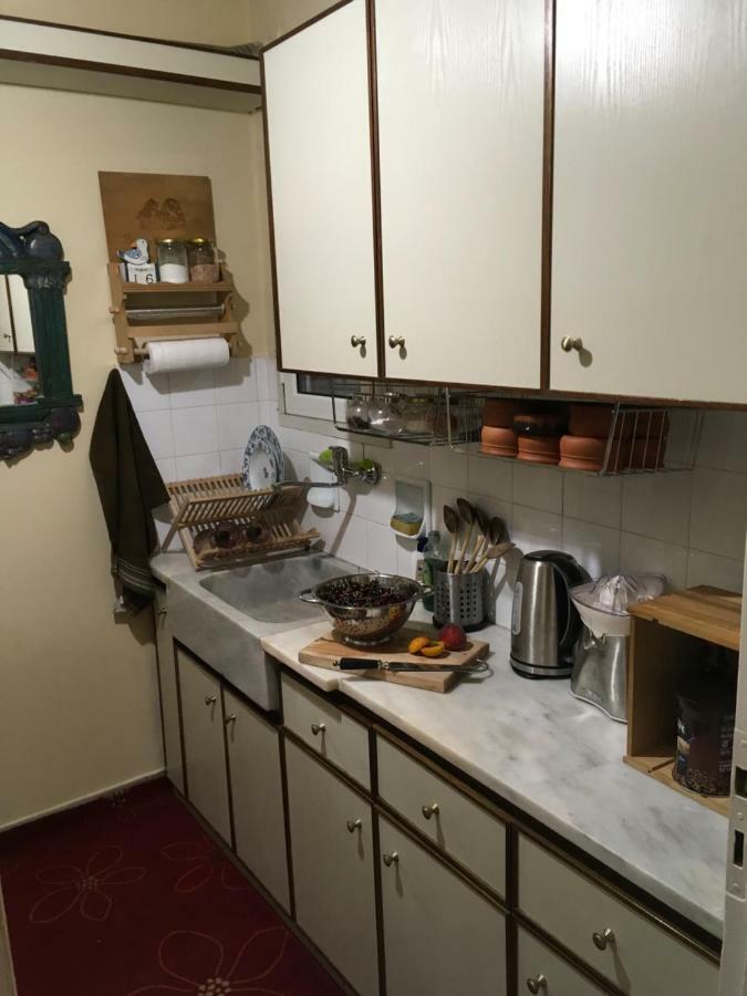 Art Island House Apartment Атина Екстериор снимка